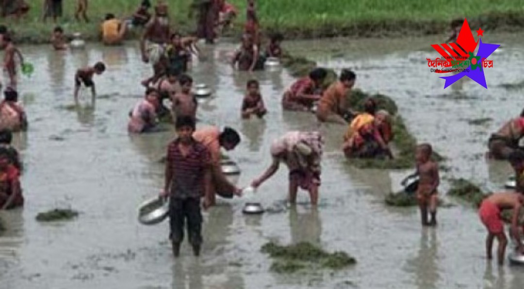 সিরাজগঞ্জের চক কোবদাসপাড়ায় জোরপূর্বক মাছ লুট