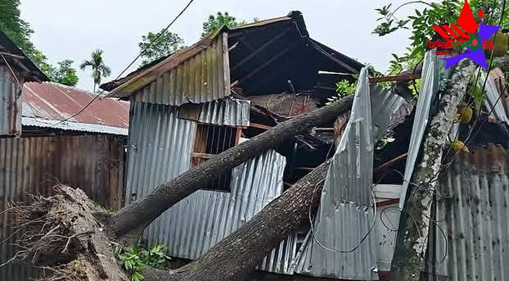 কুষ্টিয়ার খোকসায় দেড় মিনিটের ঝড়ে তিনটি গ্রাম তছনছ