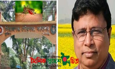 মশা মরেও না উড়েও না: মশকনিধনের নামে হরিলুট