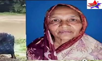 কুষ্টিয়ায় নিখোঁজের ৪ দিন পর  খালে মিলল বৃদ্ধার মরদেহ
