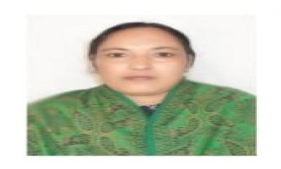 জাল সনদে ১৬ বছর শিক্ষকতা   সিট ফাউন্ডেশনের সনদ দিয়ে উচ্চতর ও টাইম স্কেলের আবেদন