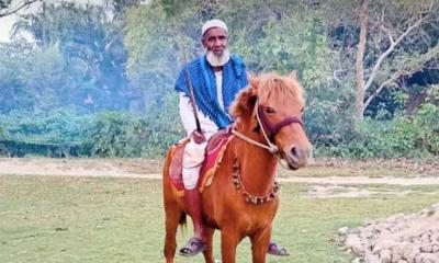 প্রিয় ঘোড়াটি খুন হয়েছে, জানেন না শয্যাশায়ী মনু মিয়া