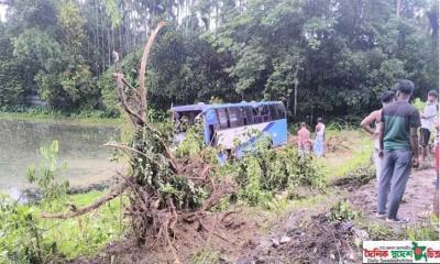 নিয়ন্ত্রণ হারিয়ে বিলে পড়ে গেল যাত্রীবাহী বাস, আহত ২০
