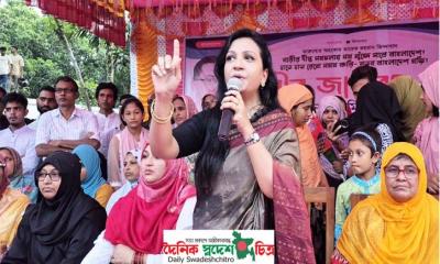 ফ্যাসিজম শেষ হলেও গণতন্ত্রের পথচলা শুরু হয়নি : পুতুল