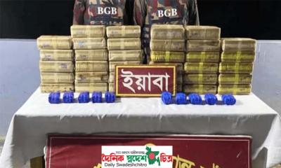 উখিয়ায় বিজিবির অভিযানে ৩ লাখ ৬০ হাজার পিস ইয়াবা উদ্ধার
