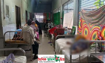 মশার উপদ্রবে অতিষ্ঠ নওগাঁ পৌরবাসী, বেড়েছে ডেঙ্গু রোগী