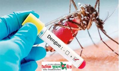 যশোরে ২৪ ঘণ্টায় আরও ২ জনের ডেঙ্গু শনাক্ত, হাসপাতালে ভর্তি ১৪