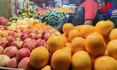 ৮৭ টাকার মাল্টায় শুল্ক ১০৭ টাকা!