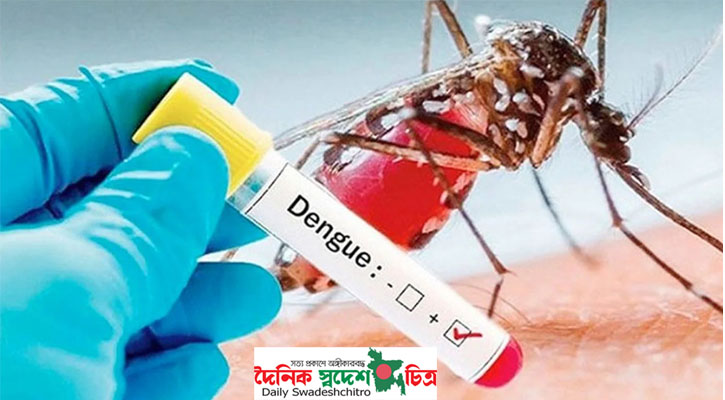যশোরে ২৪ ঘণ্টায় আরও ২ জনের ডেঙ্গু শনাক্ত, হাসপাতালে ভর্তি ১৪